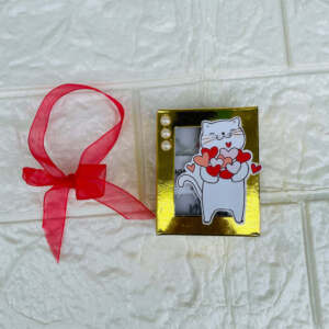 Customized Mini Album with box 1