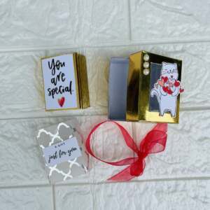 Customized Mini Album with box 1