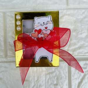 Customized Mini Album with box